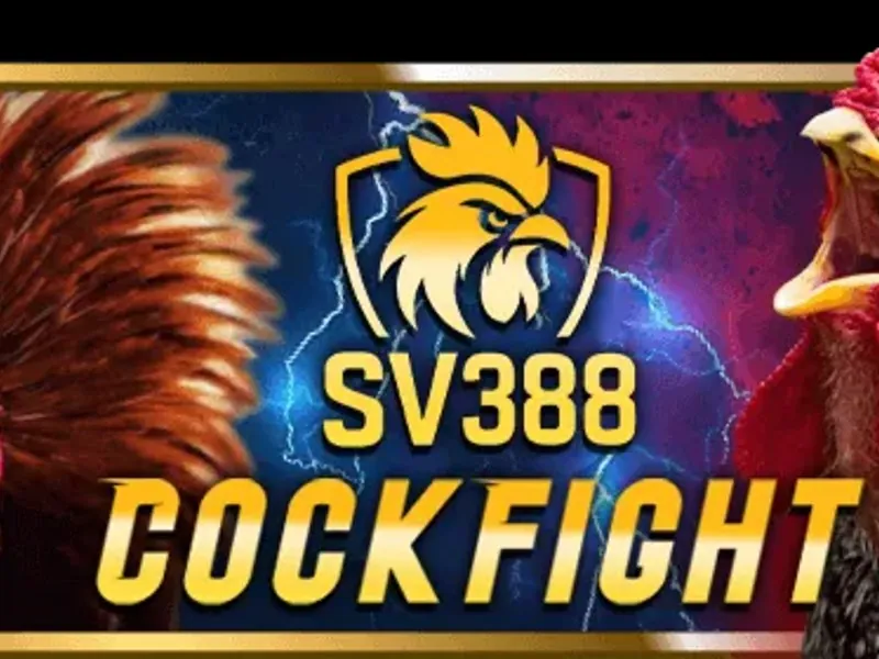 Trực tiếp đá gà Thomo kịch tính